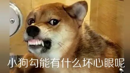我只想放假不想过年