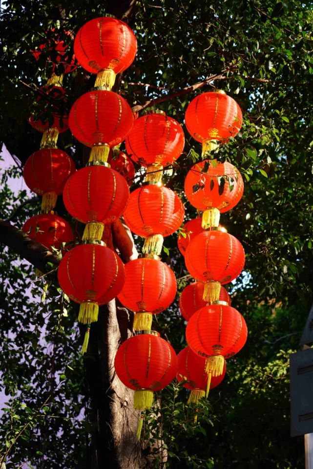 年味十足!西樵街頭滿眼紅彤彤|西樵|燈籠|高高