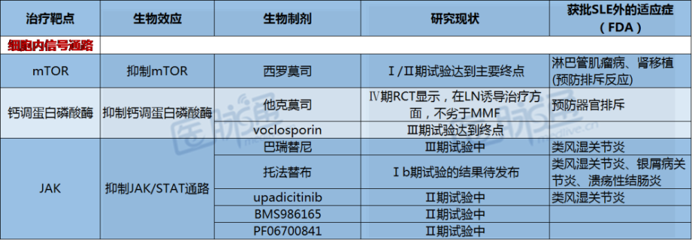 sle|“新“”新”向荣｜SLE治疗新靶点、新药物汇总