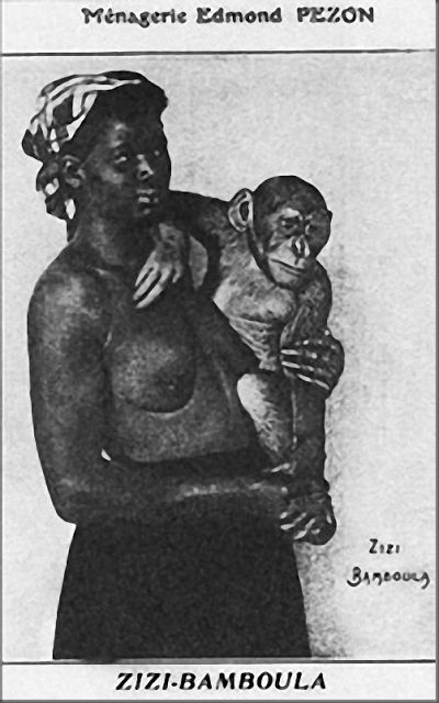 萨拉·巴特曼|“人类动物园”曾经，人类也被锁进笼子