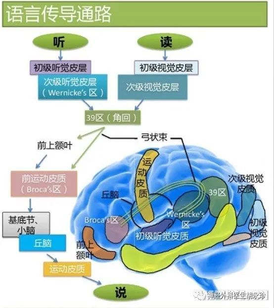 失语症|卒中后失语症