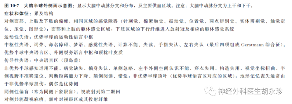 失语症|卒中后失语症