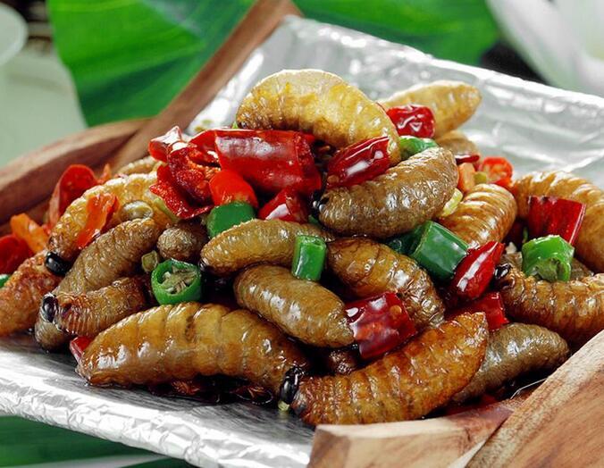 本以为是特色养殖却不曾想到竟是害虫特色养殖何去何从