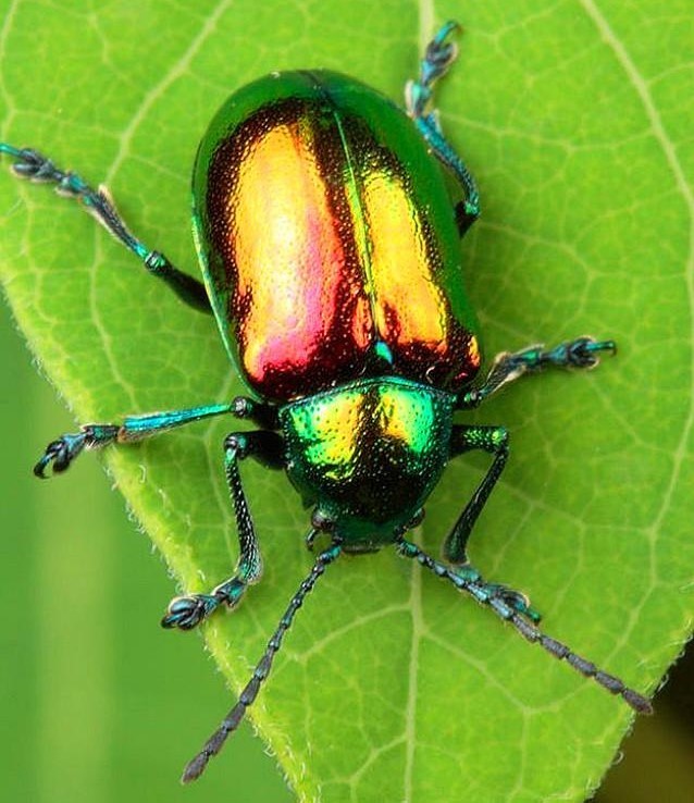 人类无法用科学验证的神秘学领域:当科学家遇上神秘学现象