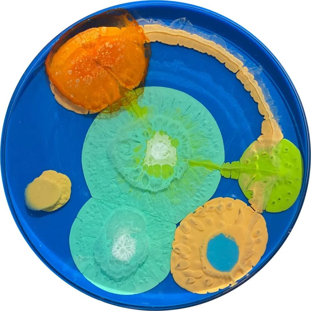 这一尝试,就让她开启了用培养皿绘画的艺术人生,克拉丽·赖斯的细菌画