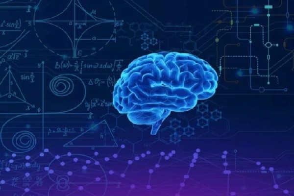 科学家|人的生命结束是否意味着“终结”？科学家给出了解释，让人后怕