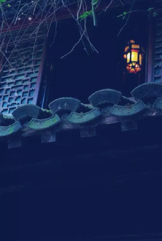 夜来风雨声花落知多少
