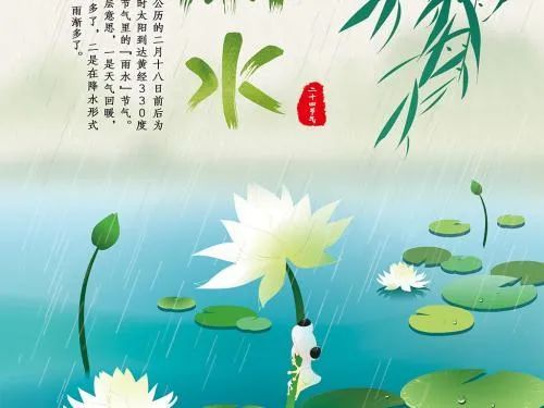 雨水節氣精闢文案願你雨水心情暢美景在前無憂傷