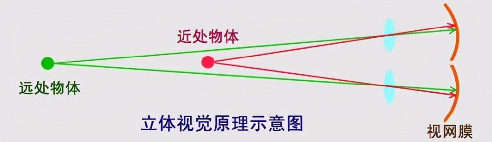 个眼睛去判断物体与自己的位置,然后睁开双眼再判断物体与自己的位置