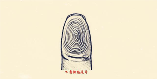 一,只有拇指是斗的人如果双手只有大拇指长有斗纹的话,这种人大多性格