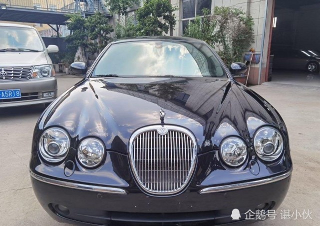 四眼捷豹你见过萌萌可爱极了