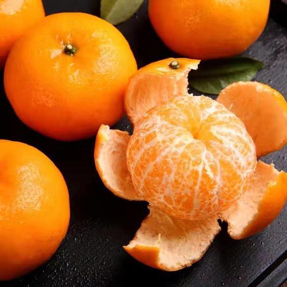 武鸣沃柑|富硒沃土生好柑，武鸣沃柑响当当