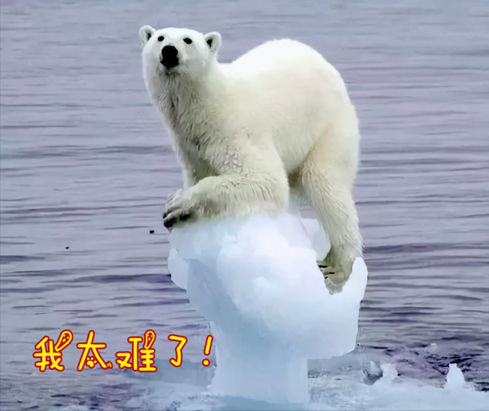 卫星|又火了！美国卫星拍下陕西大同照片，西方：简直“反人类”操作