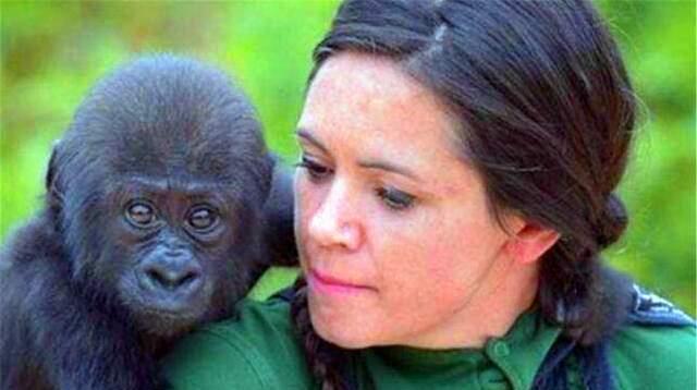 苏联科学家曾找到5名女性参加人与猩猩杂交实验最终结果如何