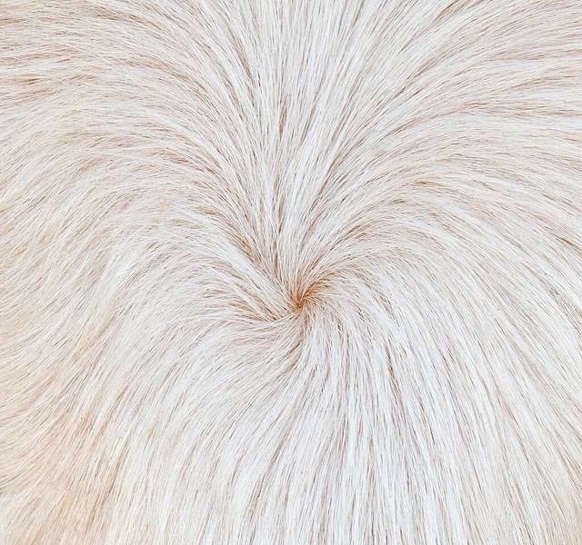 肛门|人类为什么会长出肛毛，可以刮掉吗？专家：千万不要！