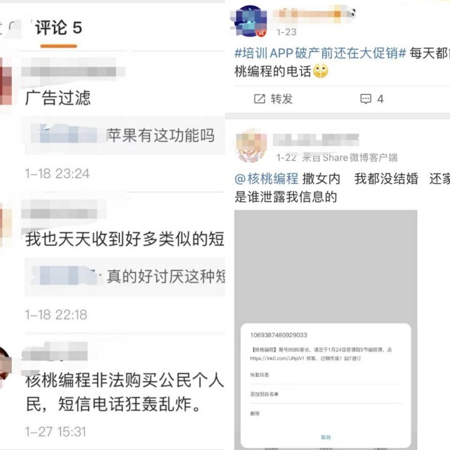 融资受阻、被央视点名 靠抄袭起家的核桃编程们还能走多远？