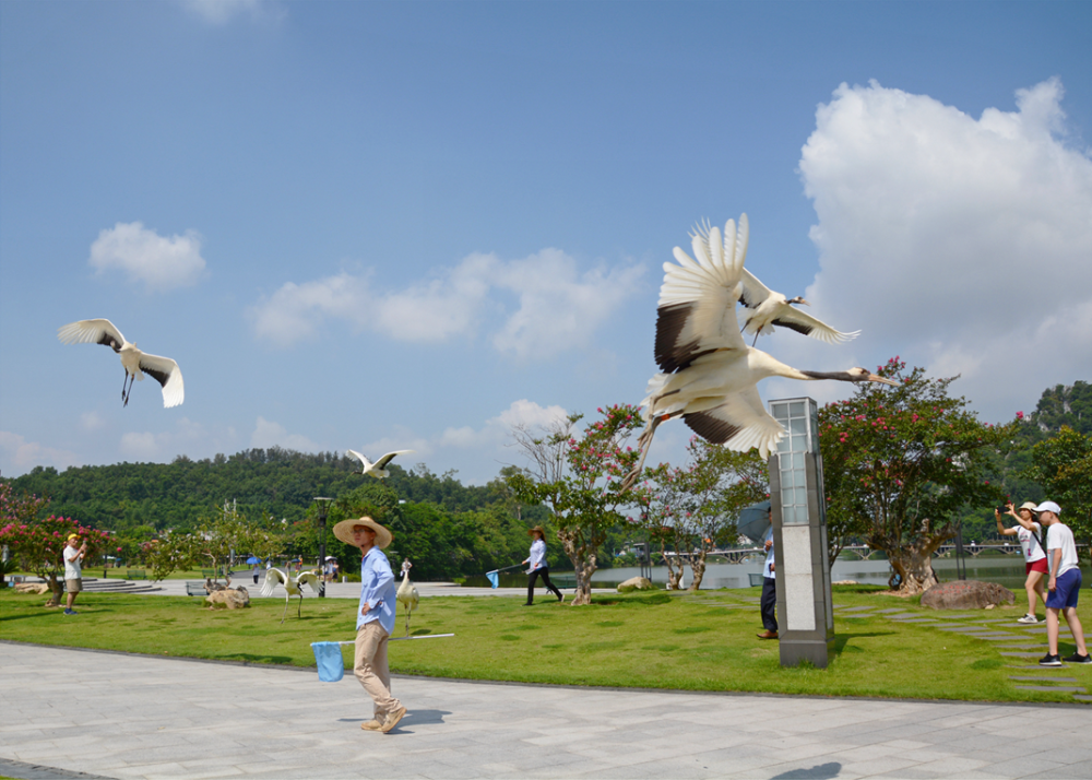 星湖丹顶鹤生态园位于七星岩景区仙女湖,共有50多只国家一级保护动物