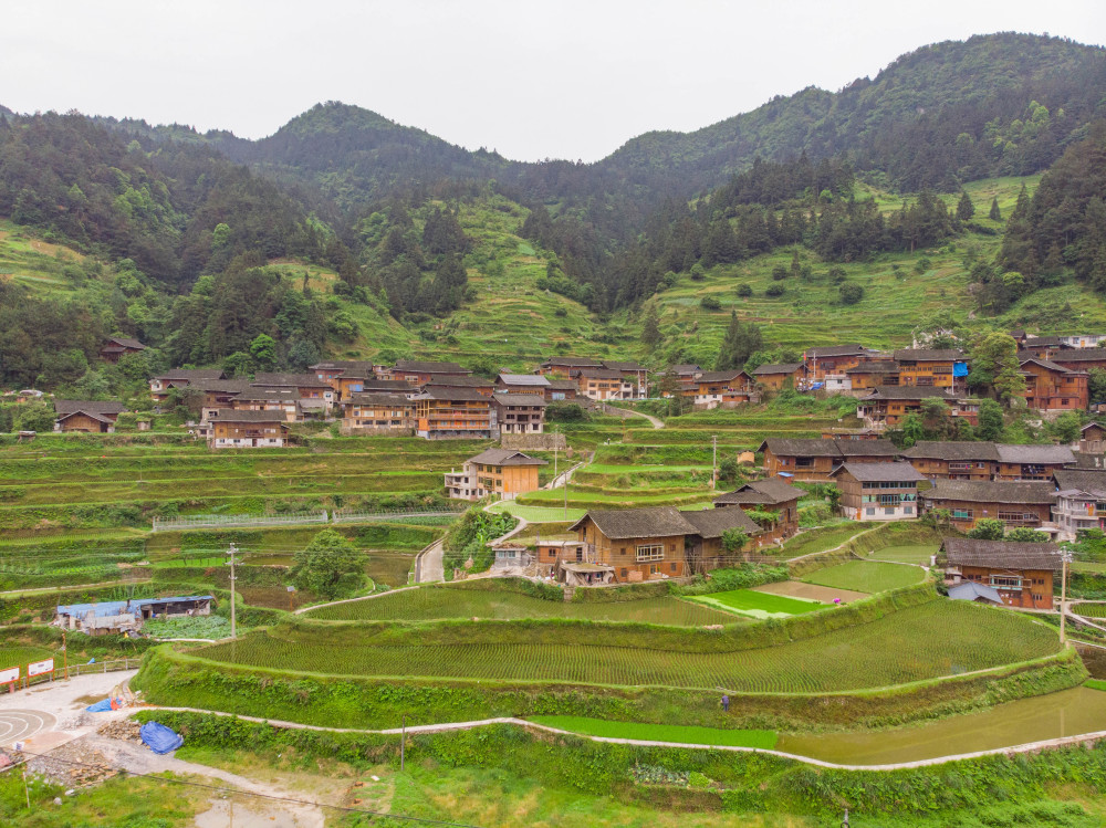 卻給雄鷹留下了深刻的印象,這就是大山深處的小村莊——白巖村