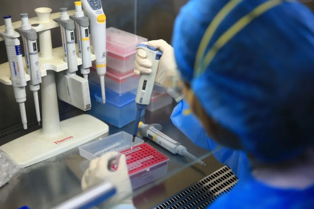 新冠病毒|新冠病毒核酸检测前应该注意什么？