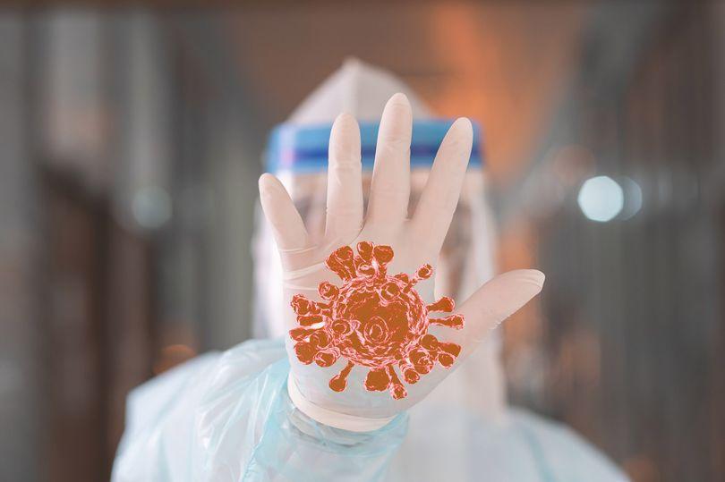 新冠病毒|英国科学家发明仿真手指技术，可以检测出新冠病毒停留时间