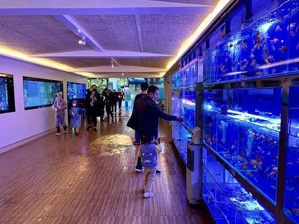 锦鳞苑完成升级对外开放啦