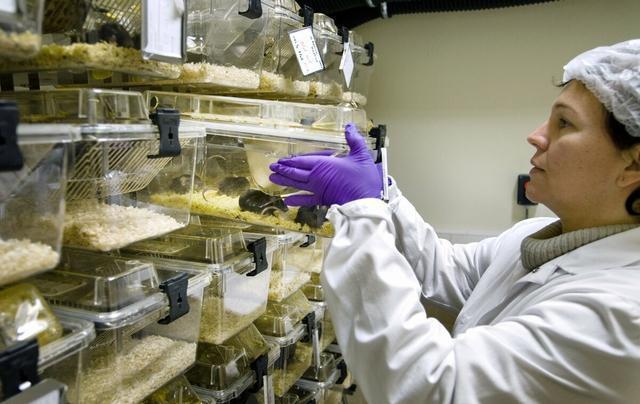 太空|人类能在太空繁殖后代吗？科学家用老鼠实验，结论引人担忧