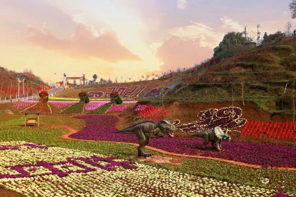 实拍万亩花海渠县人春节好玩的景区来啦