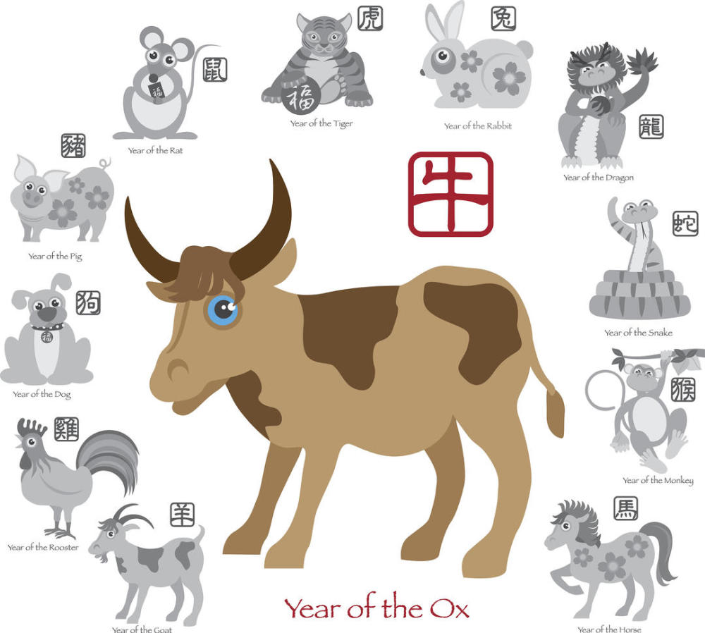 现在出生是属鼠还是属牛生肖交替之争立春还是大年初一