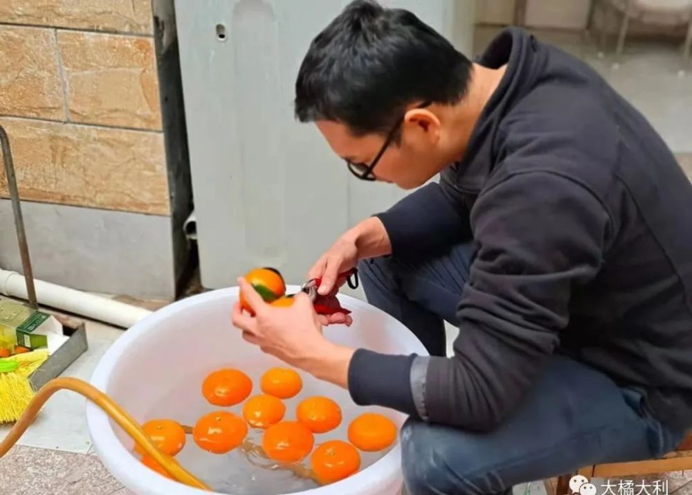 沃柑|【大橘大利】新年，新思考