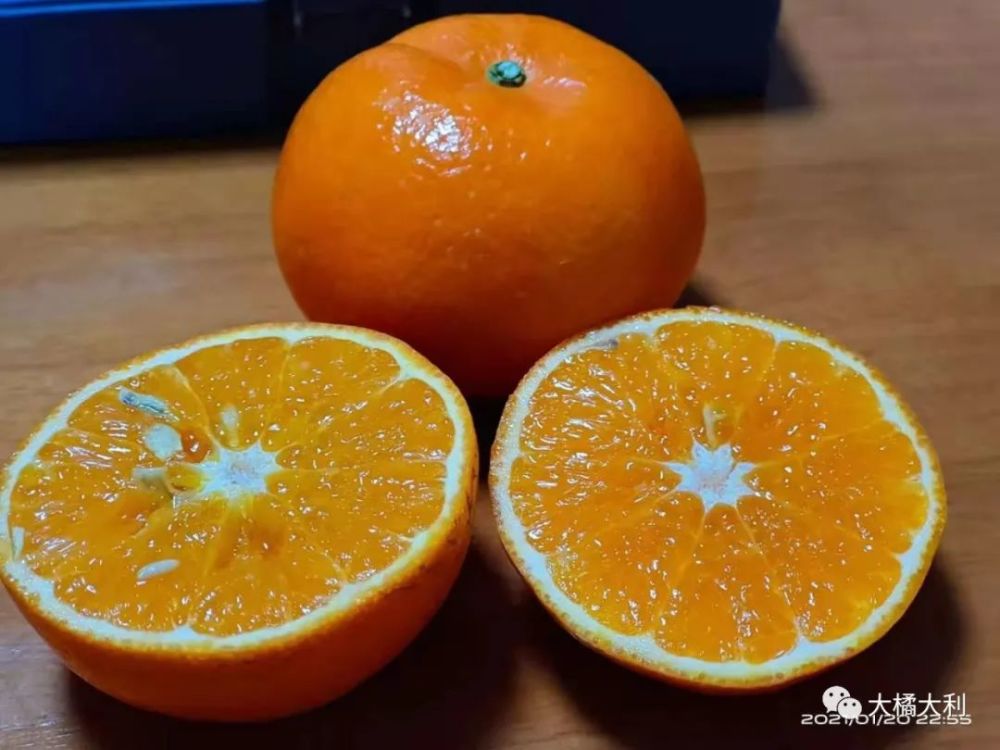 沃柑|【大橘大利】新年，新思考