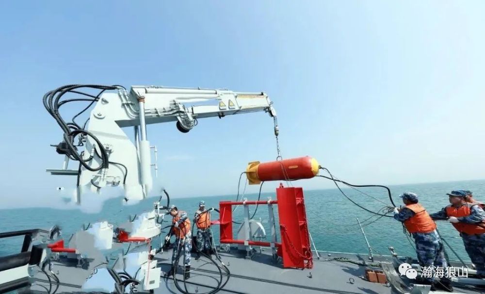 胡萝卜|这准备往水里扔的，都像超大号胡萝卜啊！