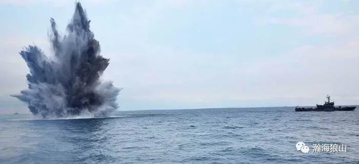 胡萝卜|这准备往水里扔的，都像超大号胡萝卜啊！