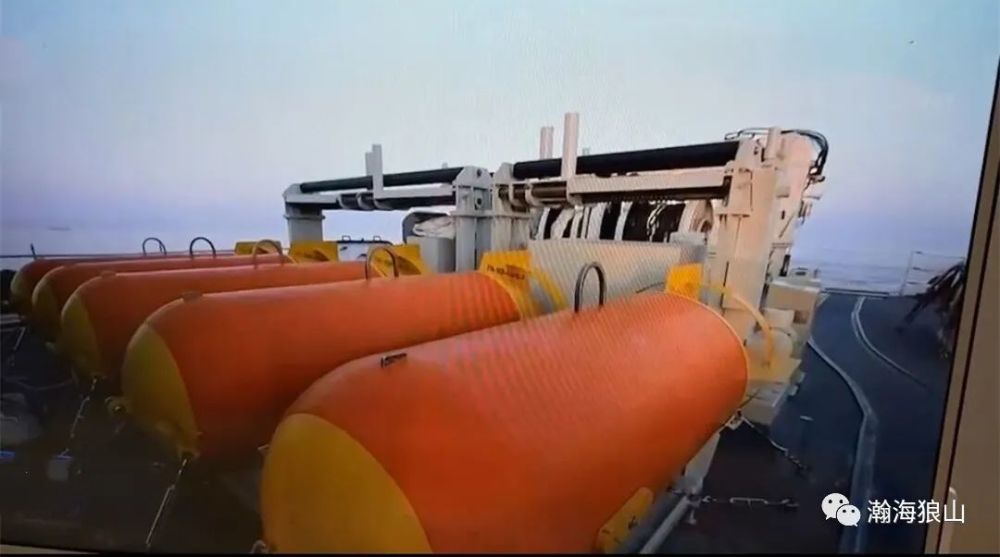 胡萝卜|这准备往水里扔的，都像超大号胡萝卜啊！