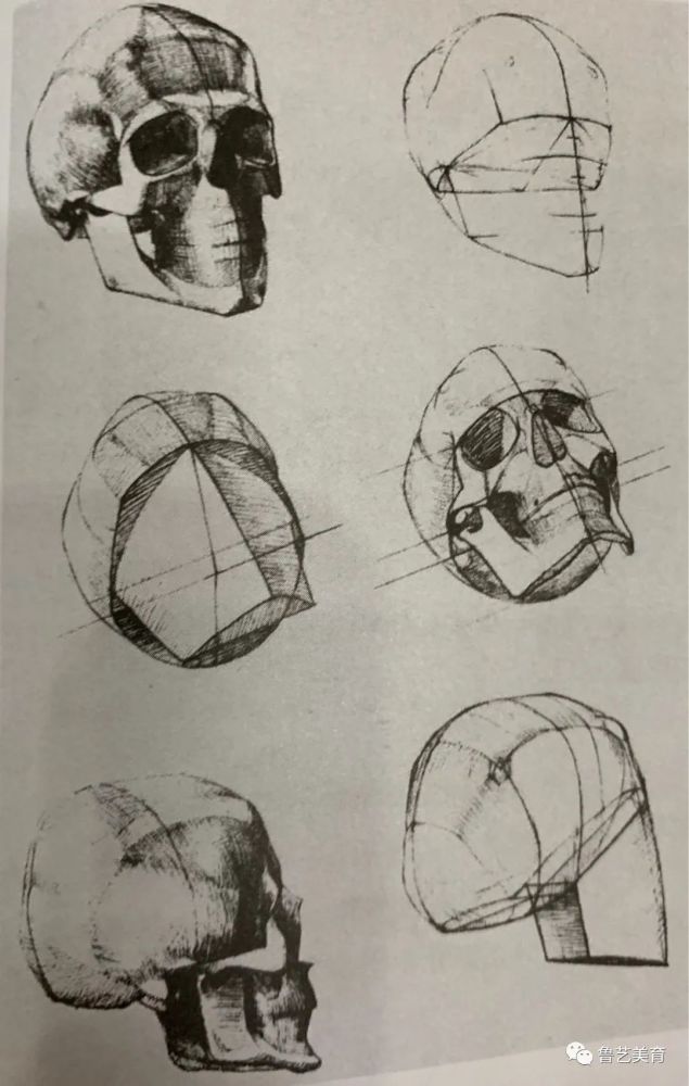 素描頭部結構與面部五官結構的剖析_騰訊新聞