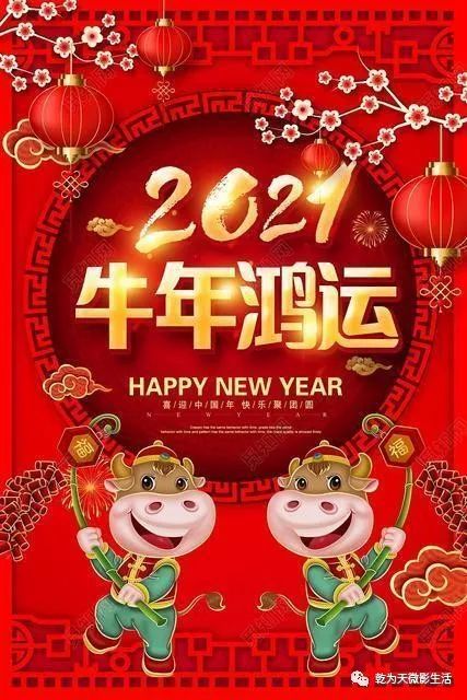 2021金牛贺岁牛气冲天乾为天微影祝大家牛年大吉新春快乐
