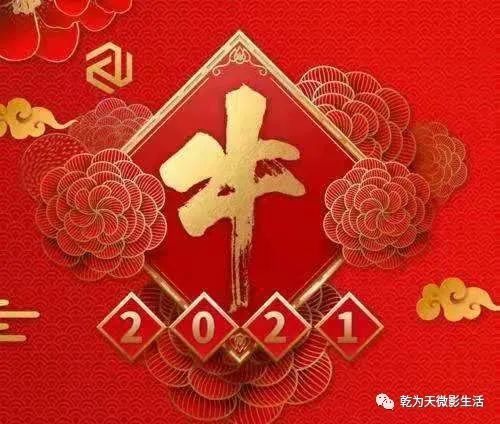 2021金牛賀歲,牛氣沖天!乾為天微影祝大家牛年大吉,新春快樂!