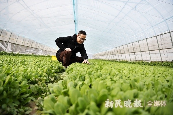 乔勇进|申城原年人｜农产品保鲜专家留沪 给市民的冰箱“减负”