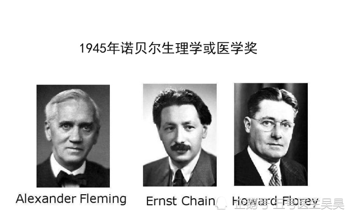 因为对青霉素的发现,弗莱明本人获得1945年诺贝尔奖.