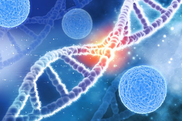 核糖核酸|乙肝新药开发工具，小分子核糖核酸，前瞻单一多靶点未来前景