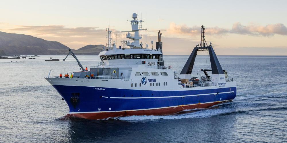 第二阶段:前苏联解体后到上世纪末,捕捞国开始分化,主要以日本,智利