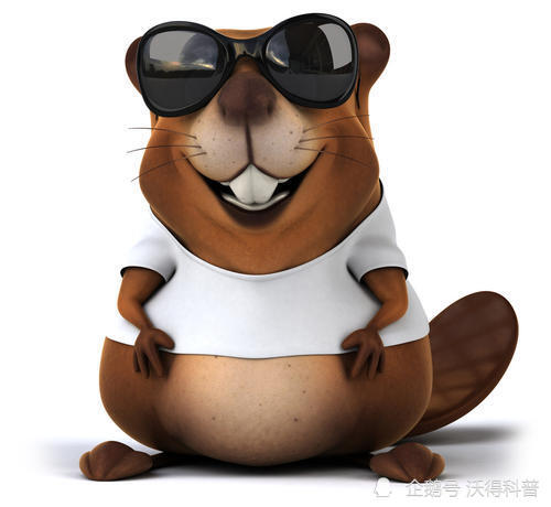 1万年前世上最大的海狸遭灭顶之灾,最终没活下来,发生了什么