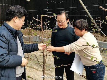 农大|冬闲人不闲，西农大专家一线工作忙