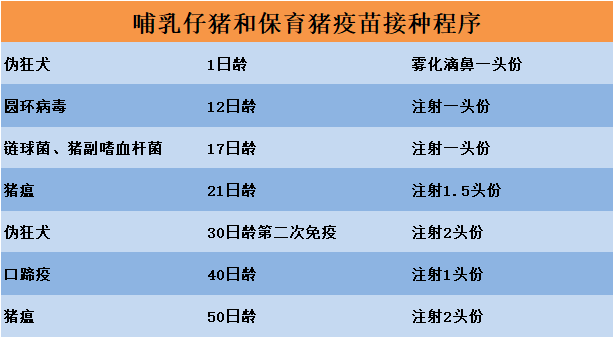 疫苗|养猪要打哪些疫苗？最实用的免疫程序表来了