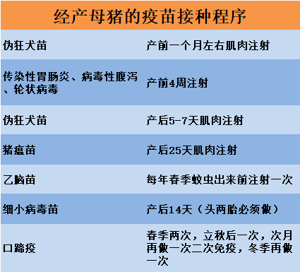 疫苗|养猪要打哪些疫苗？最实用的免疫程序表来了