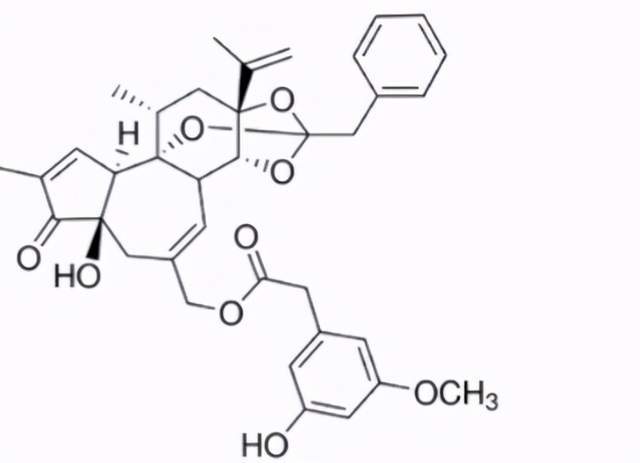 辣椒|世界上最辣的植物是何方神圣？形似仙人掌，比辣椒还辣近万倍