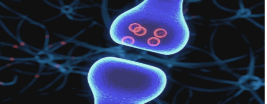 辣椒|世界上最辣的植物是何方神圣？形似仙人掌，比辣椒还辣近万倍