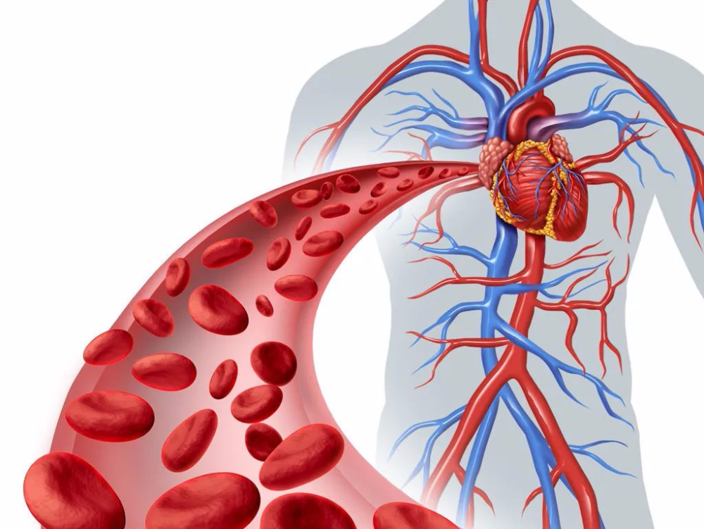 心肌梗塞|38岁男子腹疼，查出心梗，专家提醒：识别5大“警讯”，别病急乱投医