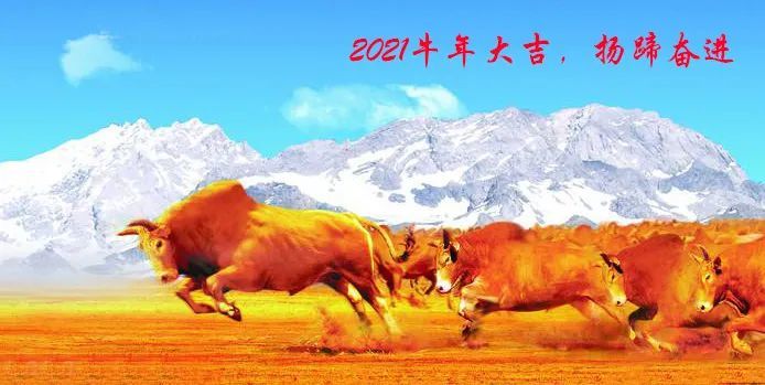 鼠去牛來辭舊迎新2020已見底2021牛年揚蹄奮進