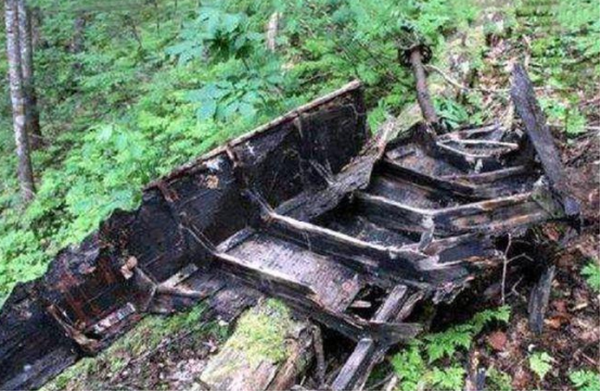 广西|广西两位村民：进山采药意外发现飞机残骸，揭开尘封52年的历史