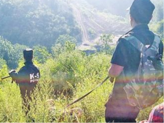 广西|广西两位村民：进山采药意外发现飞机残骸，揭开尘封52年的历史